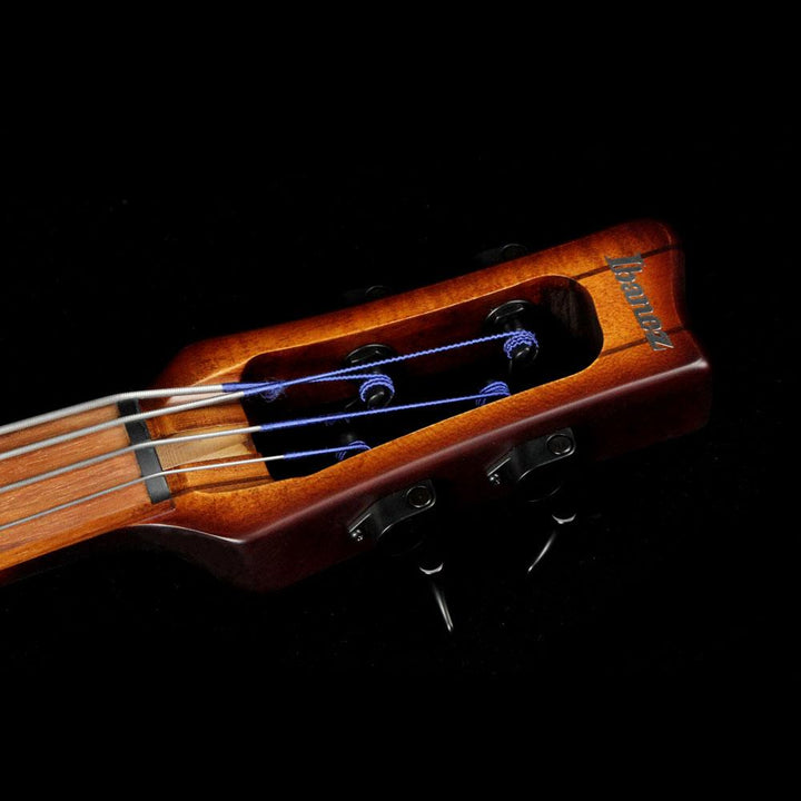 Ibanez Bass Workshop UB804 Upright Bass Mahogany Oil Burst