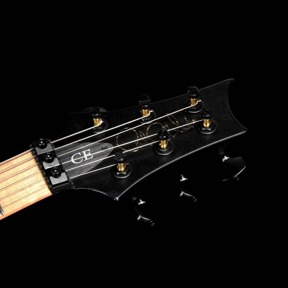 PRS DW CE 24 Floyd Dustie Waring Signature Waring Burst — 4