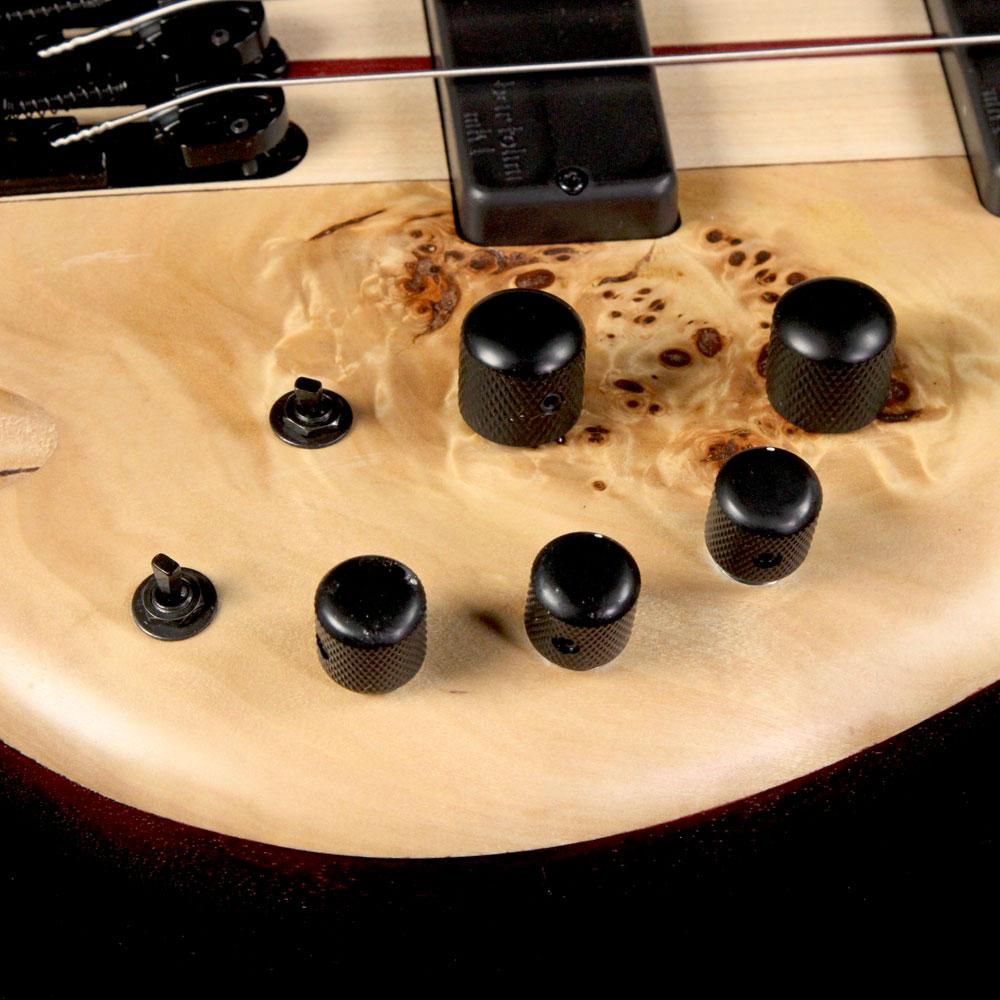 Ibanez Bass Workshop Ibanez SR Cerro Single-Cutaway Electric Bass