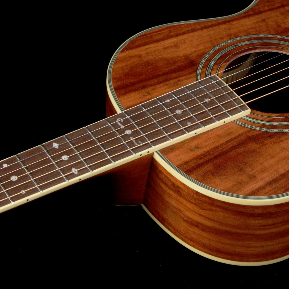 ♪ワッシュバーン・Washburn WP55NS オールコア材♪ Washburn WP55NS