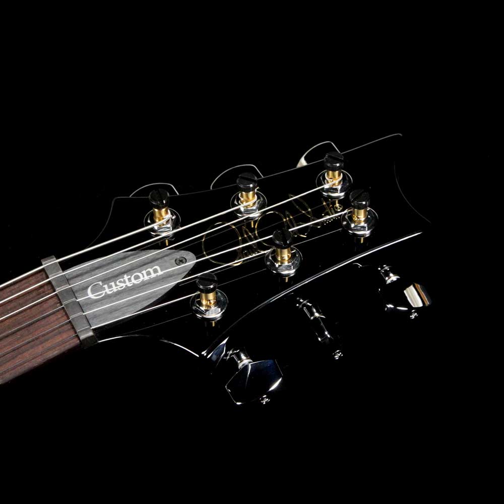 PRS S2 Custom 22 Semi-Hollow Elephant Gray — 4