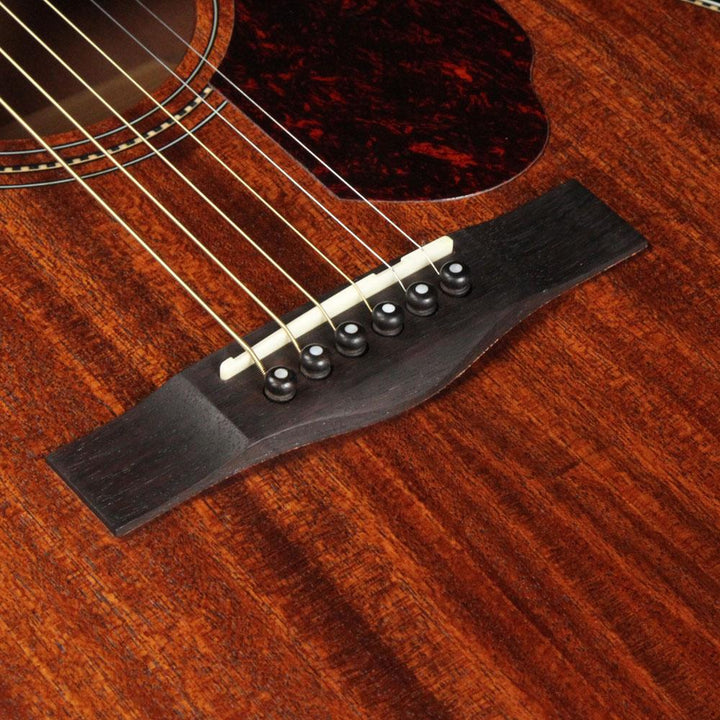 Fender Paramount PM-1 Standard Dreadnought All Mahogany NE Natural