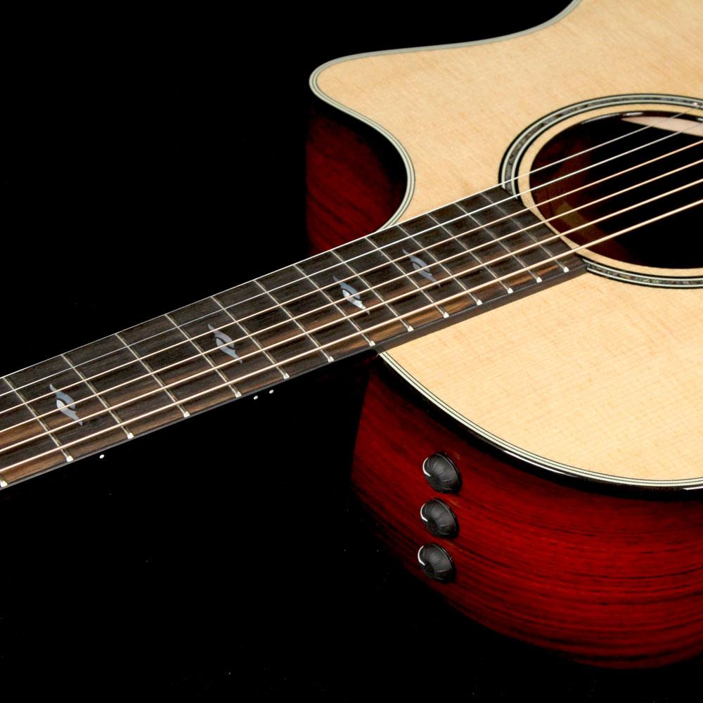 Taylor 814ce Grand Auditorium Limited Cocobolo NAMM 2018 — 7