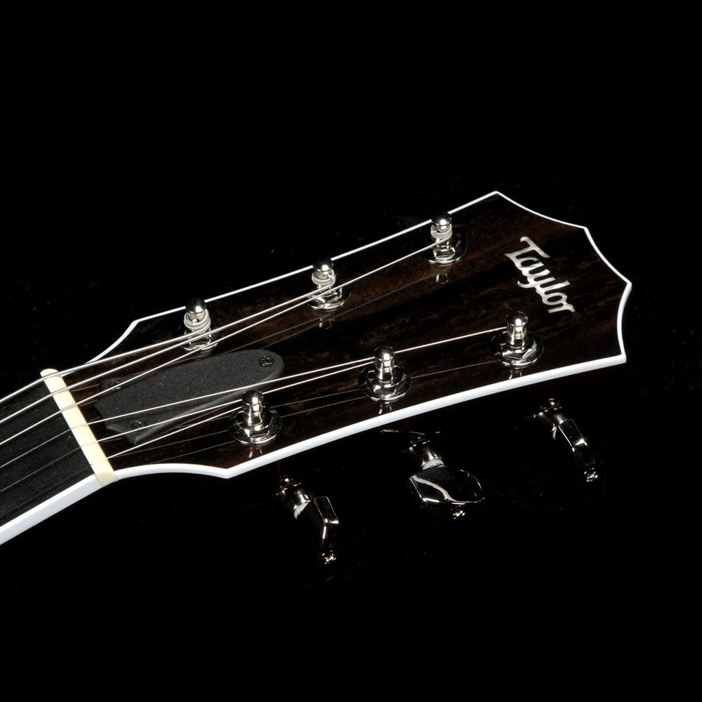 Taylor T5z Pro Molasses Burst — 4