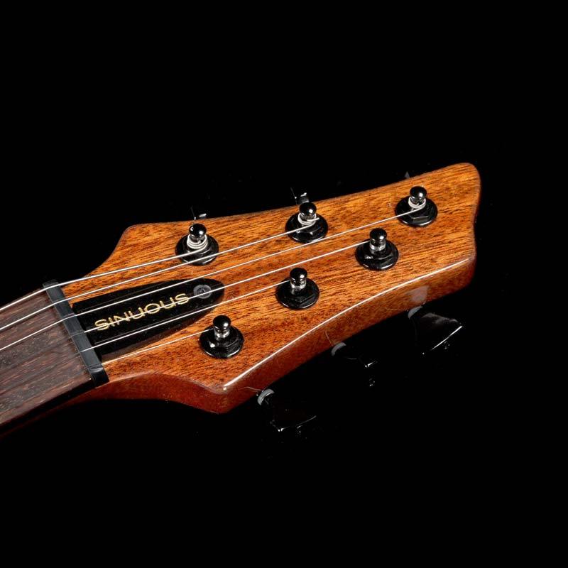 Sinuous SD-22 Santos Palisander Dark Burst — 4