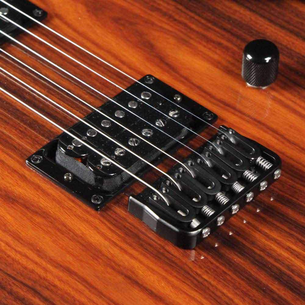 Sinuous SD-22 Santos Palisander Dark Burst — 5
