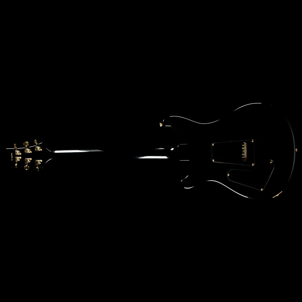 PRS Custom 24 Artist Package Grey Black — 3