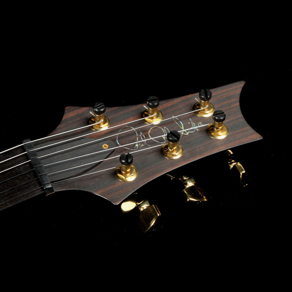 PRS Custom 24 Artist Package Grey Black — 4
