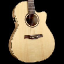 Seagull Performer CW Folk QI Acoustic 2015