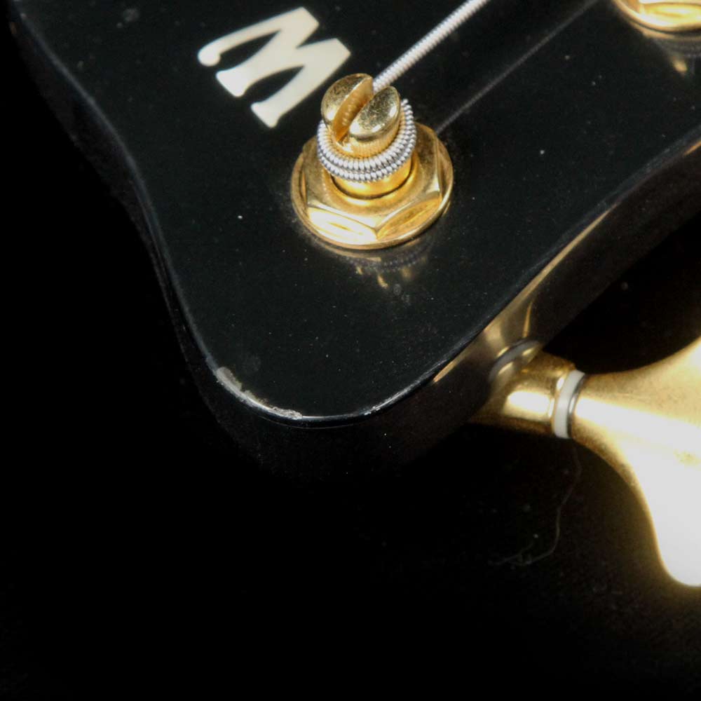 Warwick Custom Shop Streamer LX 5-String Transparent Black — 6