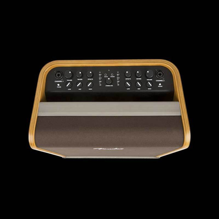 Fender Acoustic SFX 110 TW