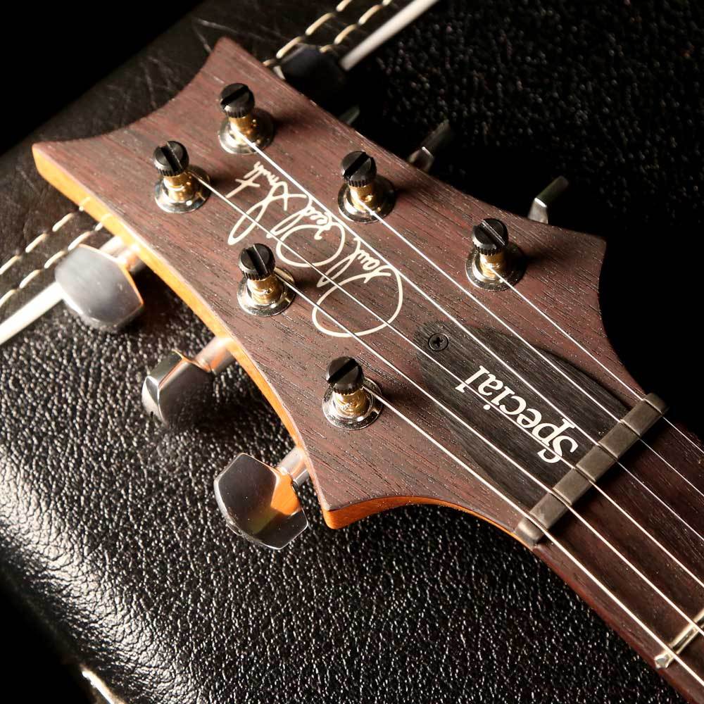 PRS Special Semi-Hollow Limited Edition Emerald — 4