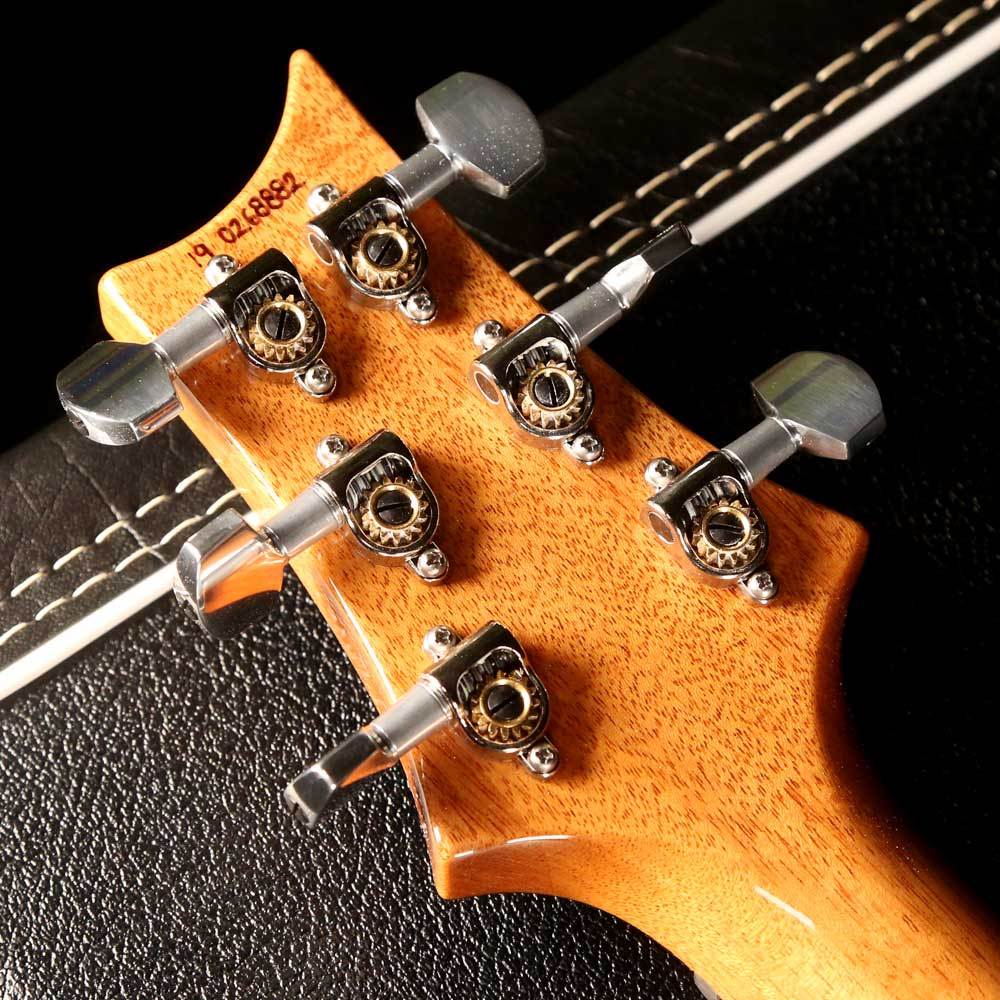PRS Special Semi-Hollow Limited Edition Emerald — 5