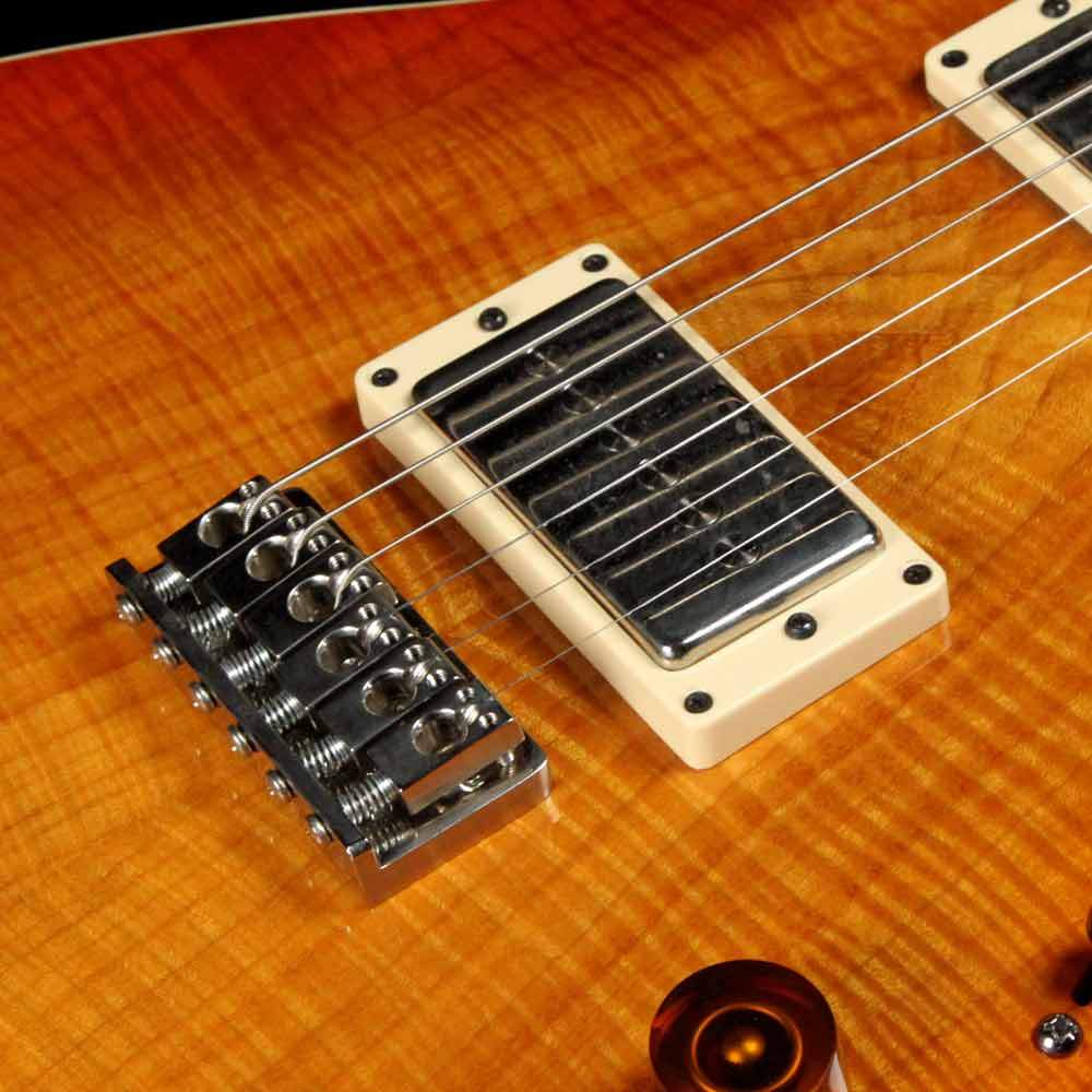 Hamer Talladega Limited Earthen Maple Earthen Burst 2008 — 8