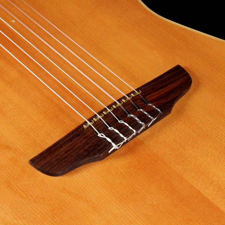 Godin Multiac Duet Nylon String 2001