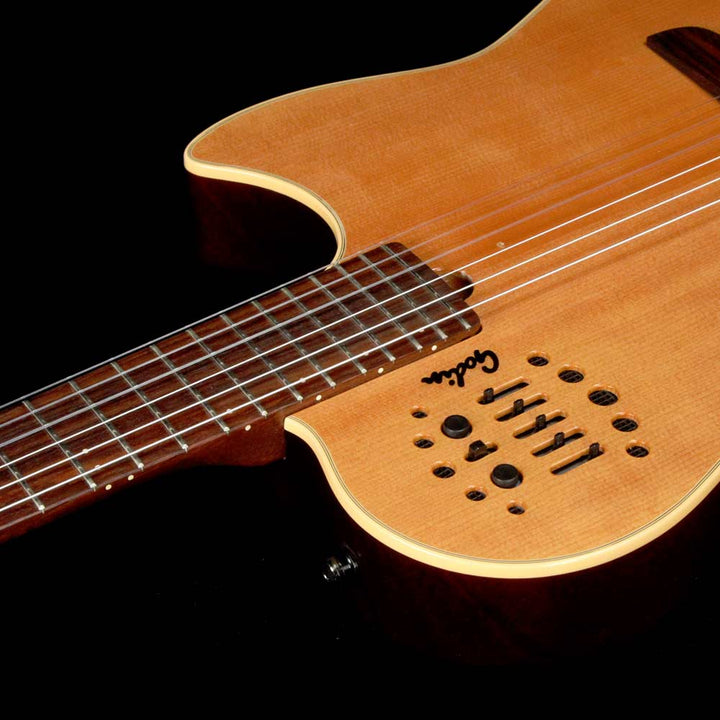 Godin Multiac Duet Nylon String 2001