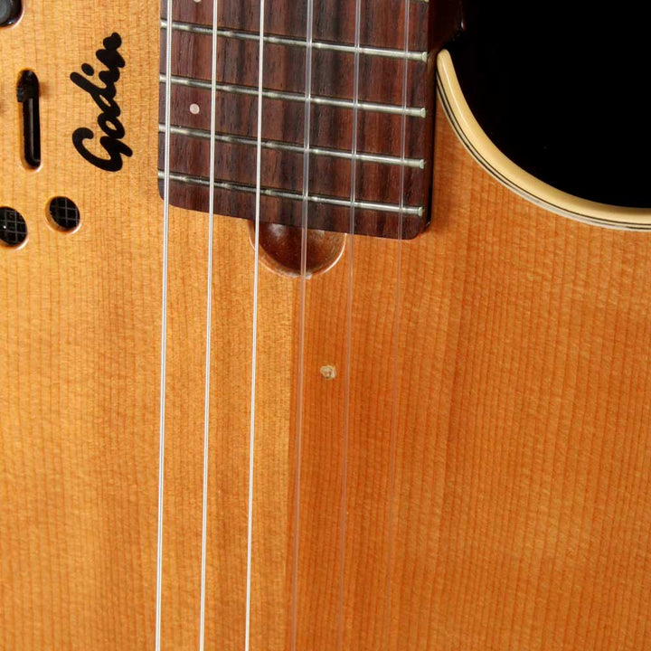 Godin Multiac Duet Nylon String 2001