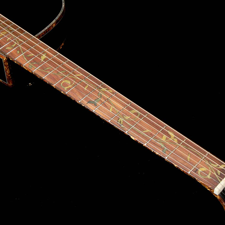 Ibanez EP10 Steve Vai Signature Acoustic-Electric Black Pearl High Gloss