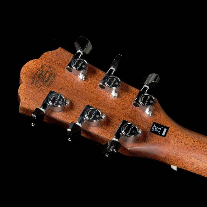 Washburn Comfort Series WCG700SWEK Natural