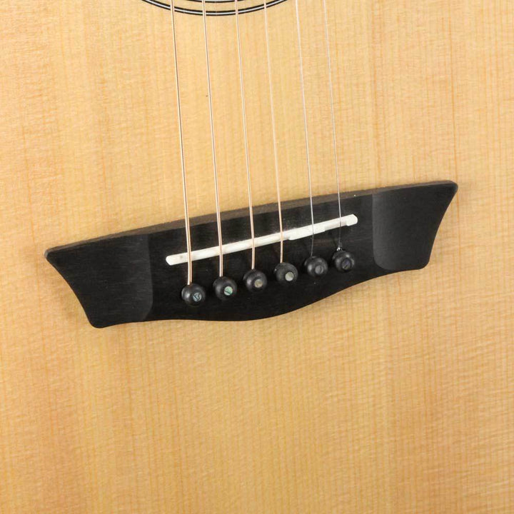 Washburn Comfort Series WCG700SWEK Natural