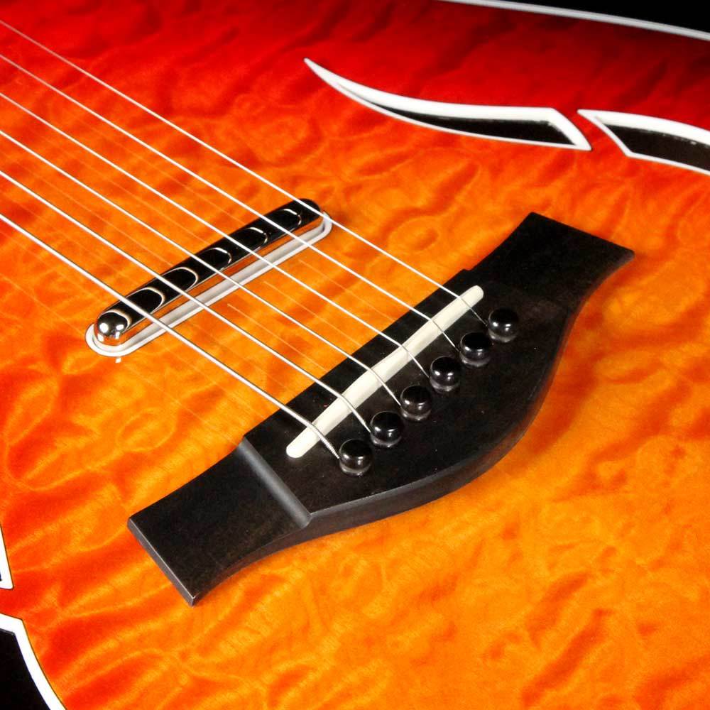 Taylor T5z Pro Aged Cherry Limited — 10