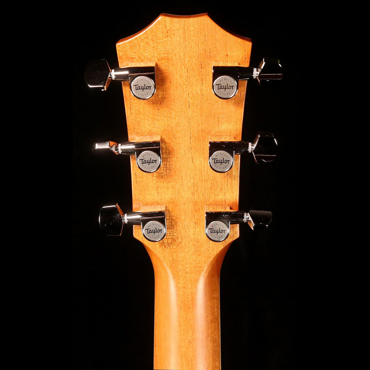 Taylor 818e Grand Orchestra Acoustic-Electric Natural — 5