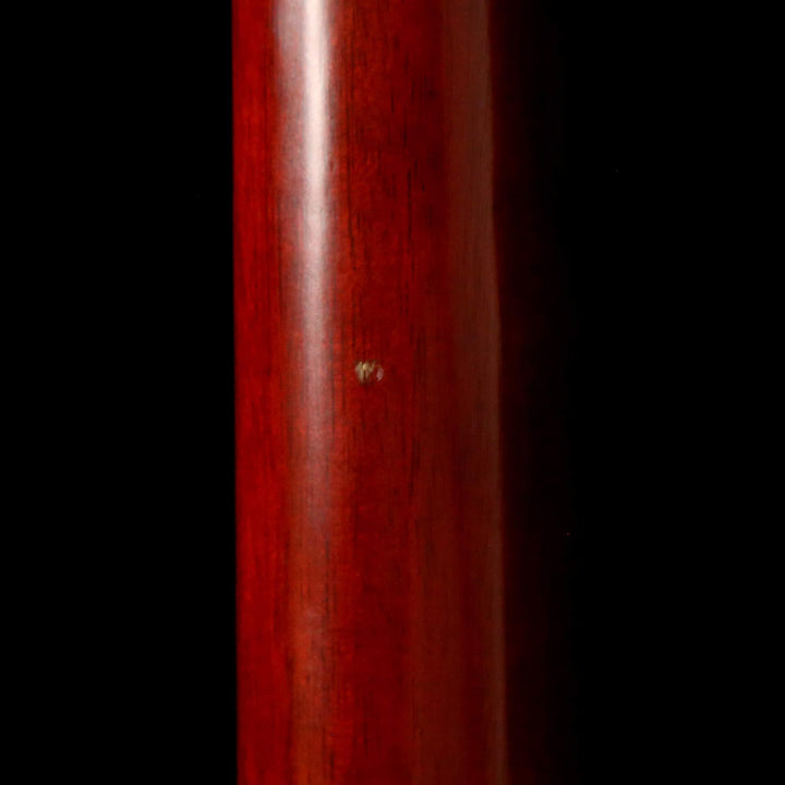 Godin Multiac ACS-SA Nylon String Lightburst Flame Top