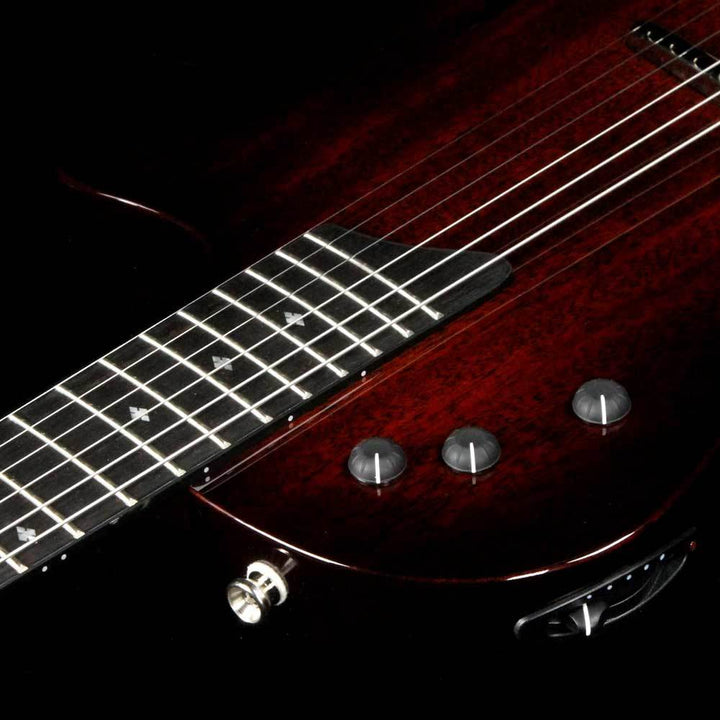 Taylor T5z Classic DLX Shaded Edgeburst