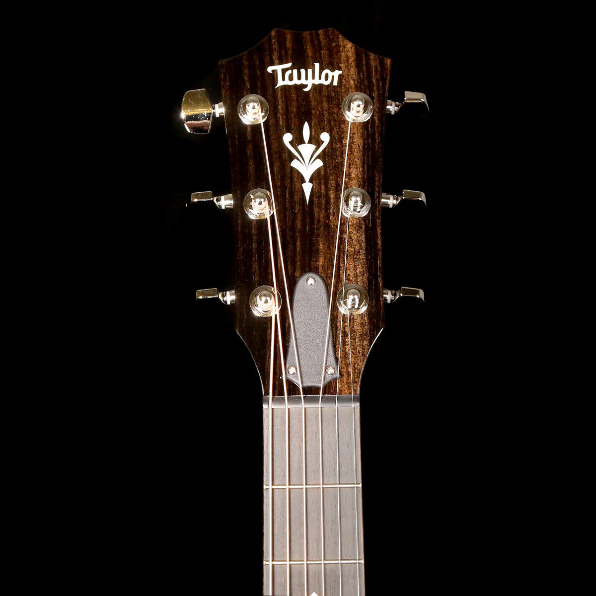 Taylor 524ce Grand Auditorium Acoustic-Electric Shaded Edgeburst — 4