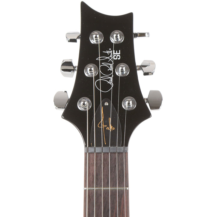 PRS SE Schizoid Custom 24 Limited Edition Guitar