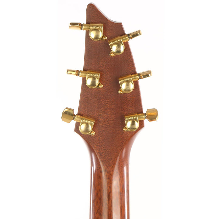 Breedlove Concert Acoustic C20X/MH Prototype 1997