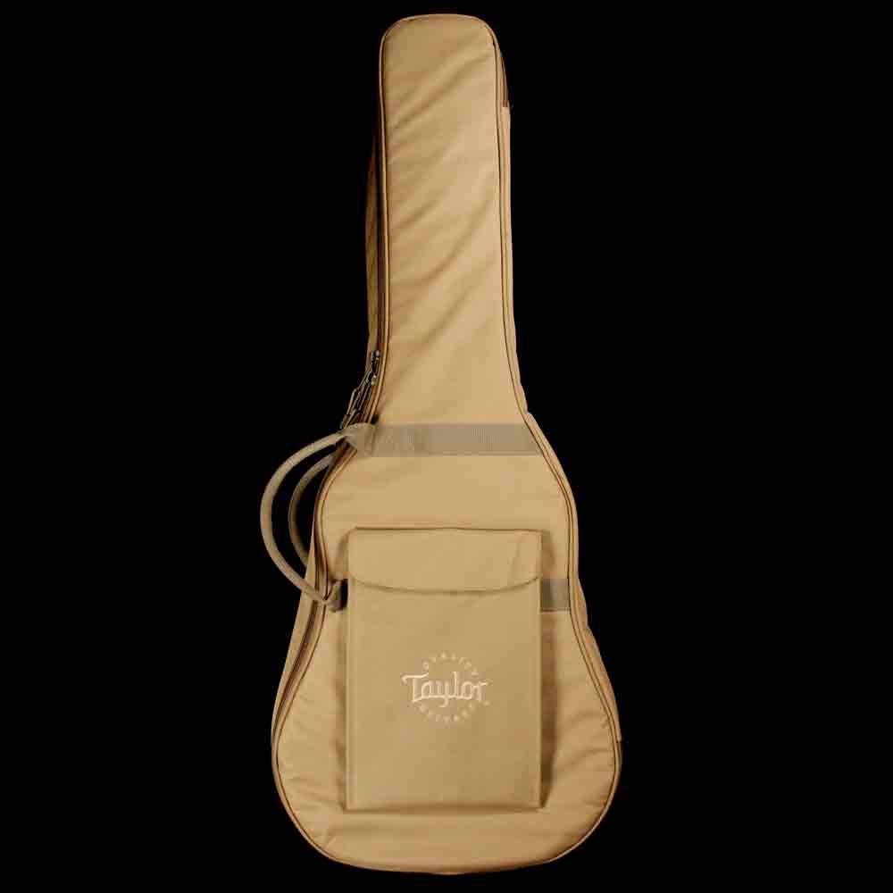 Taylor T5z Classic Mahogany Top Natural — 8