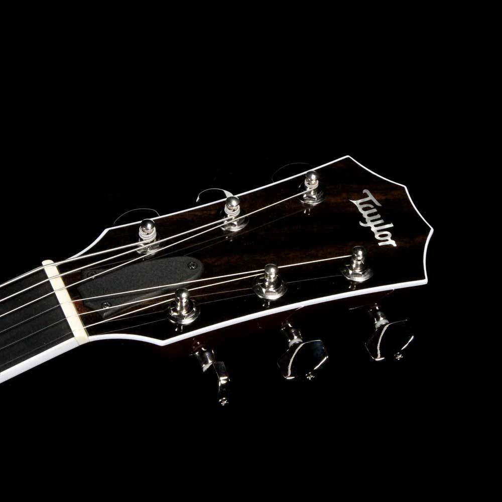 Taylor T5z Pro Molasses Burst — 4