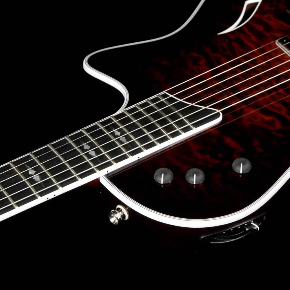 Taylor T5z Pro Molasses Burst — 9