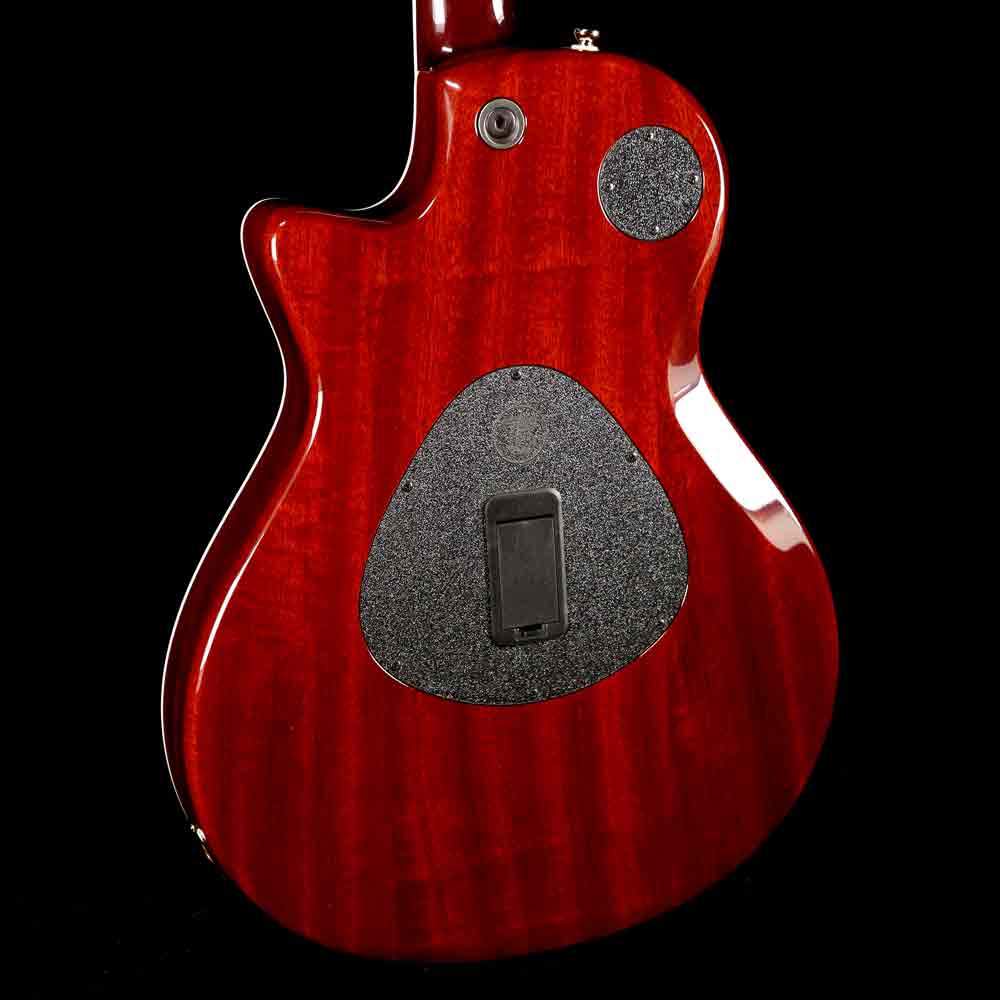Taylor T5z Custom Cocobolo Top — 9