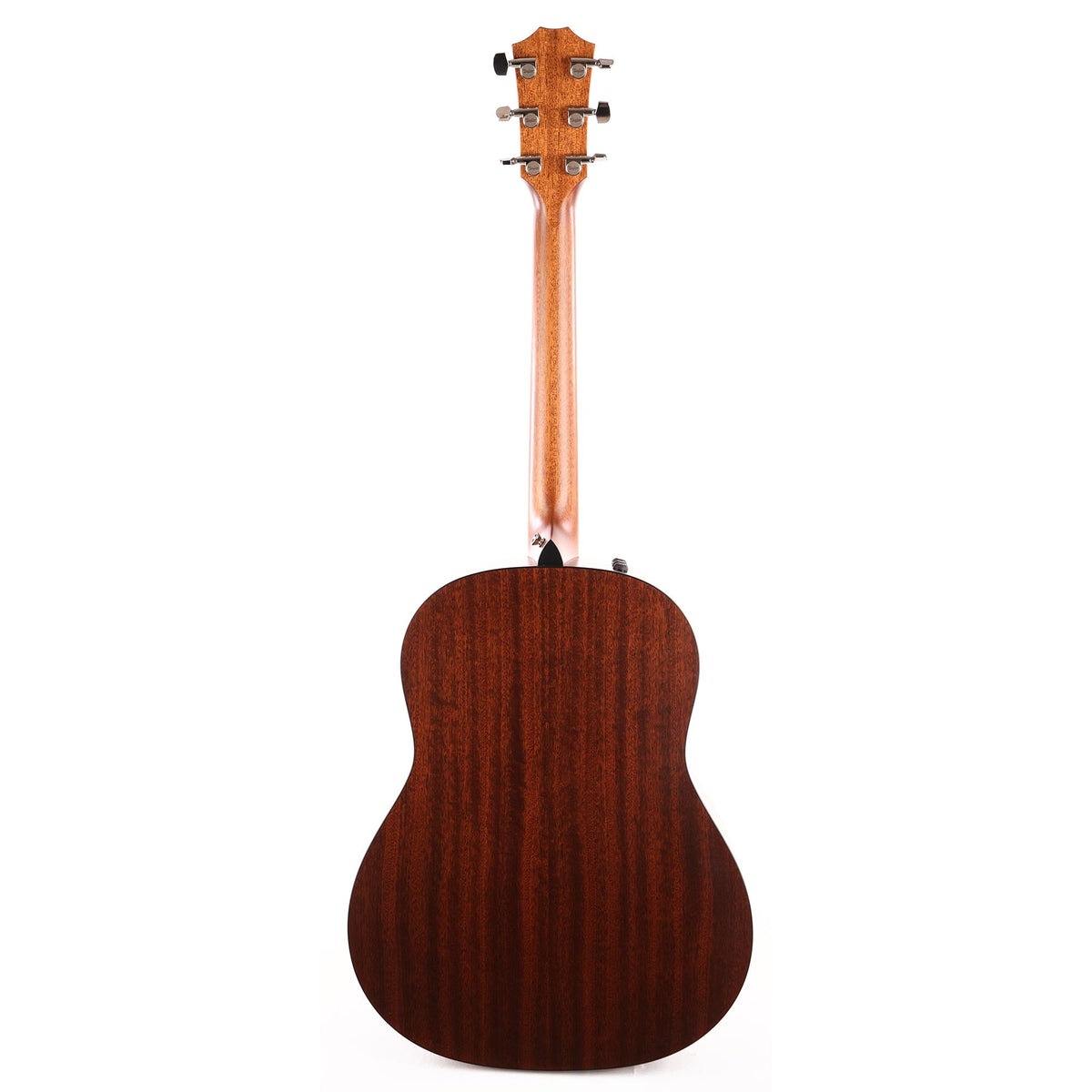 Taylor 317e Grand Pacific Natural 2021 — 3