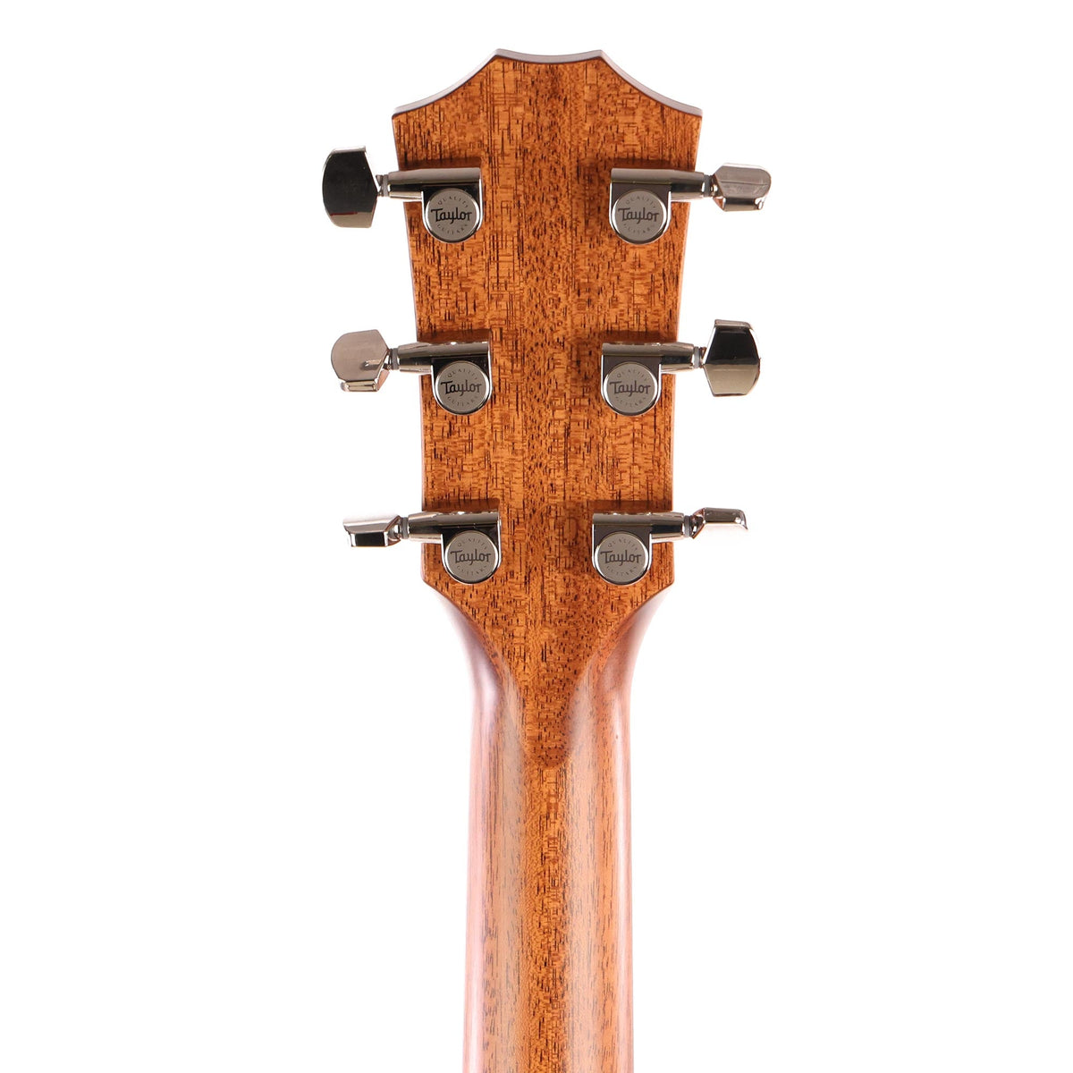 Taylor 317e Grand Pacific Natural 2021 — 5