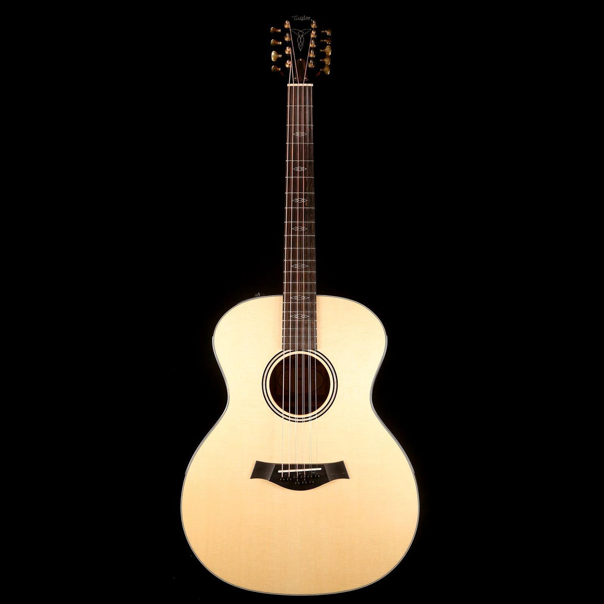 Taylor Custom Shop Grand Auditorium 9-String Acoustic-Electric 2019 NAMM Display — 2