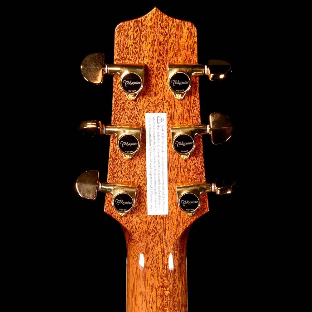 Takamine P7D Acoustic-Electric Natural — 5