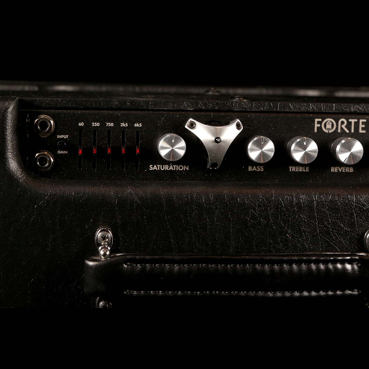 Henriksen The Forte 1x12 Guitar Combo Amplifier — 3