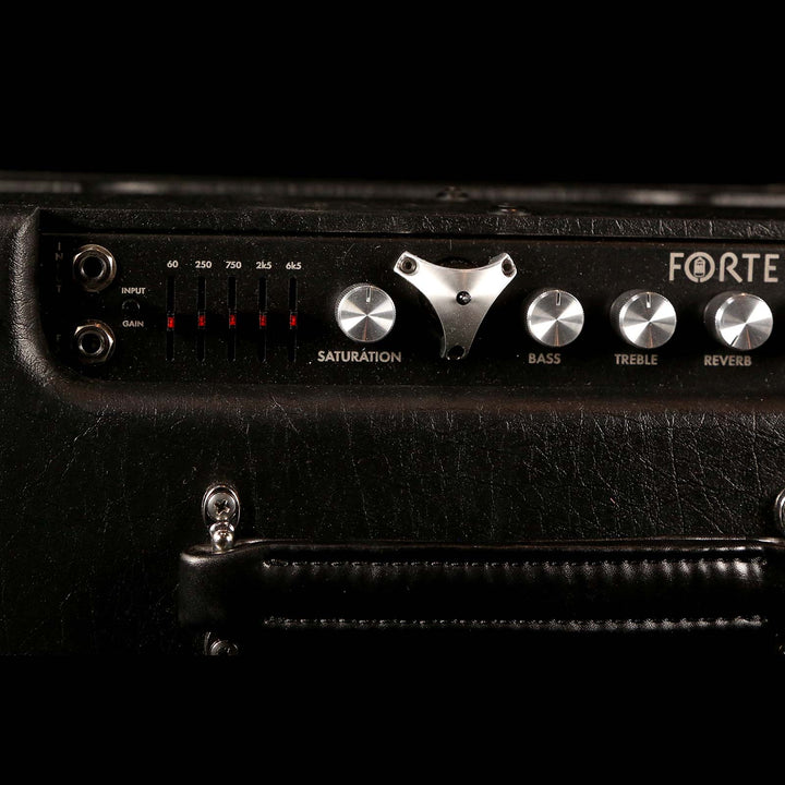 Henriksen The Forte 1x12 Guitar Combo Amplifier