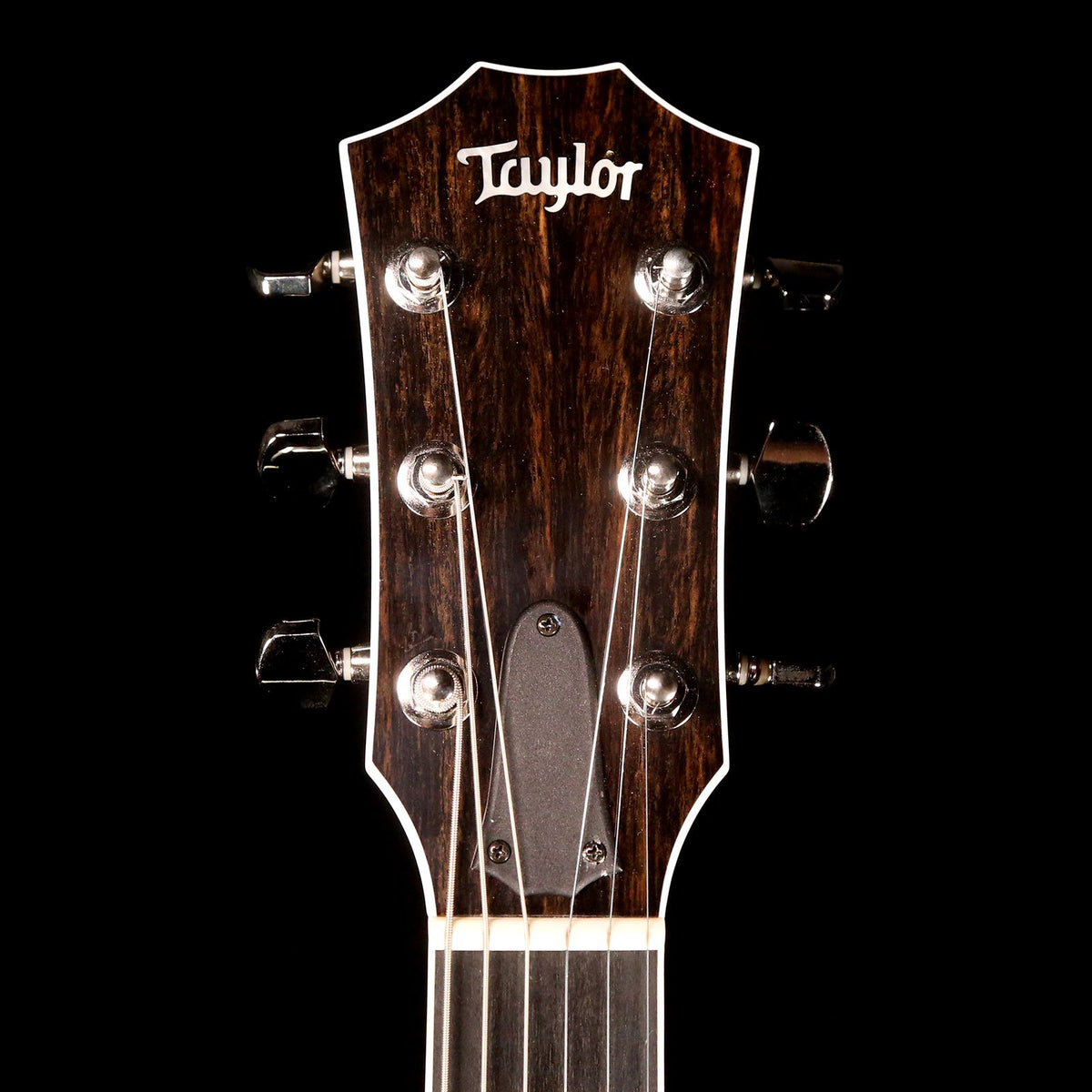 Taylor T5z Pro Pacific Blue — 4