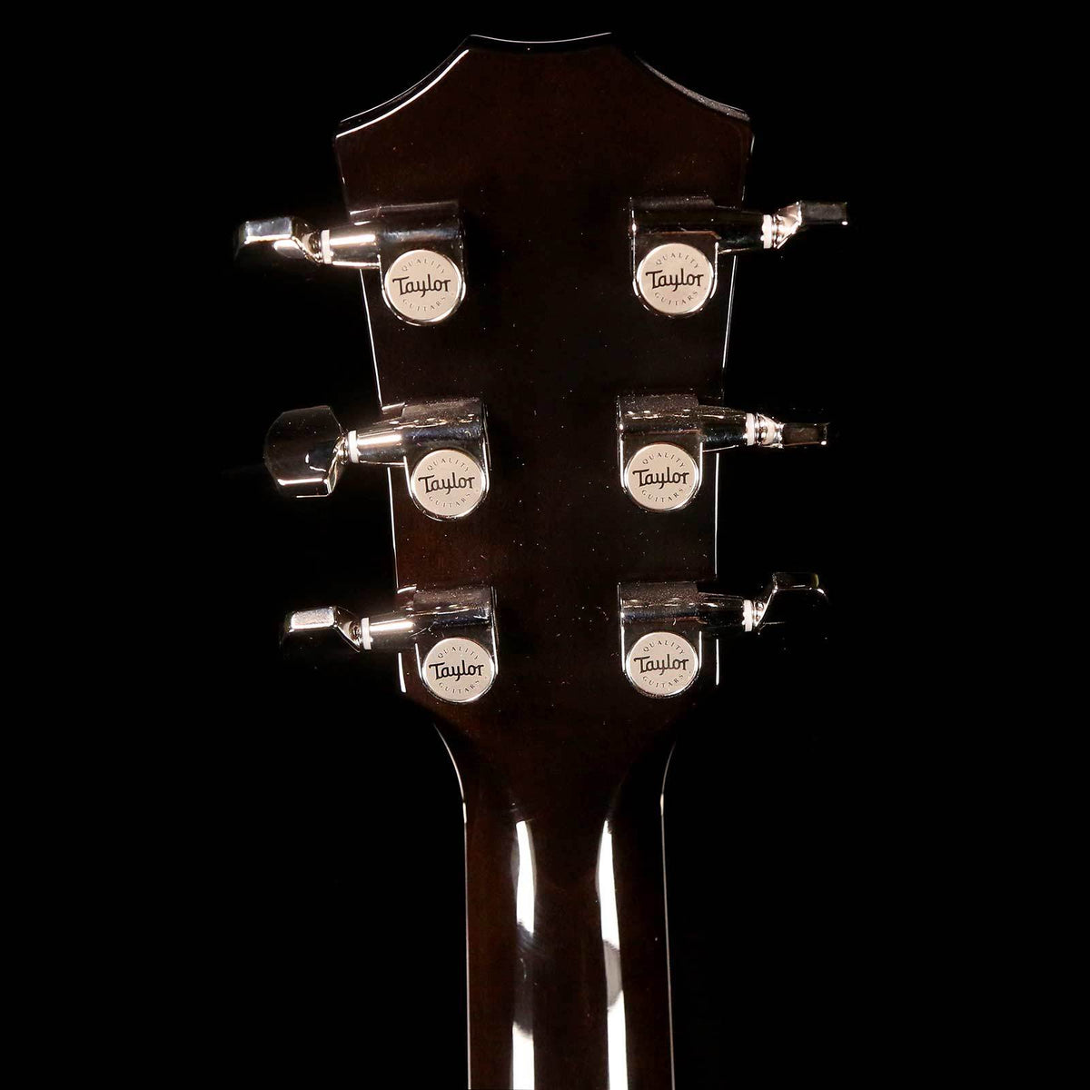 Taylor T5z Pro Gaslamp Black — 5