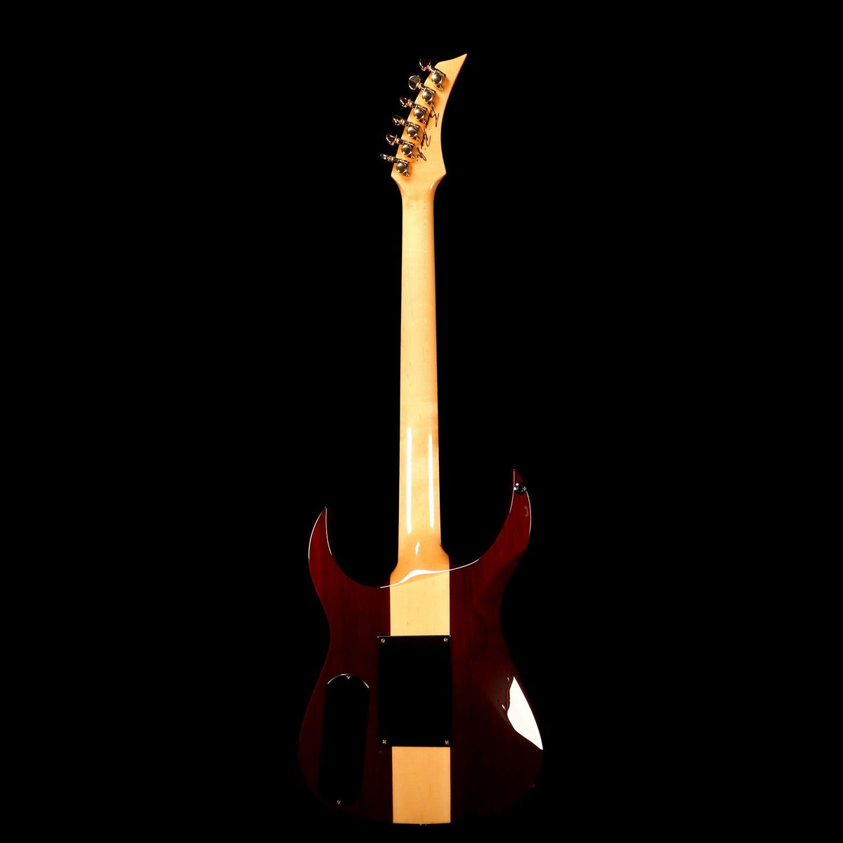 Bernie Rico Jr. Jekyll Archtop Trans Root Beer Burst 2011 — 3
