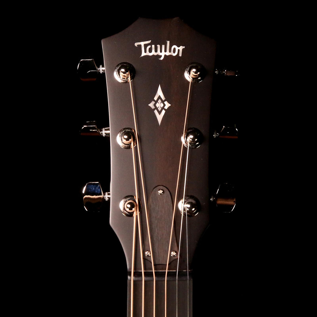 Taylor 414ce LTD Grand Auditorium Black Limba Back and Sides — 4