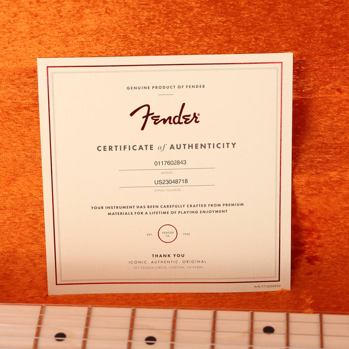 Fender Artist Series Eric Clapton Stratocaster Pewter