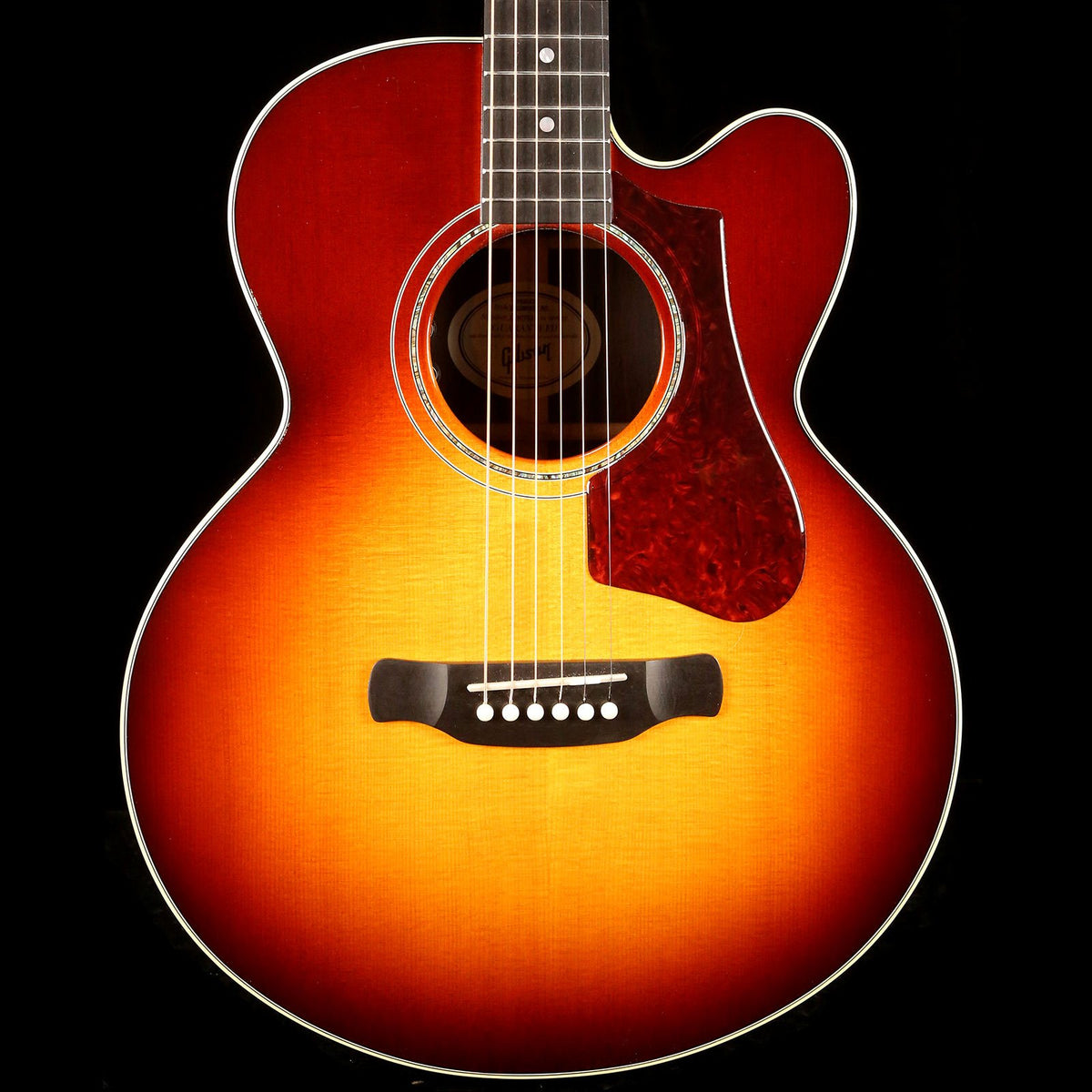 Gibson Parlor Avant Garde Acoustic-Electric Rosewood Burst — 1