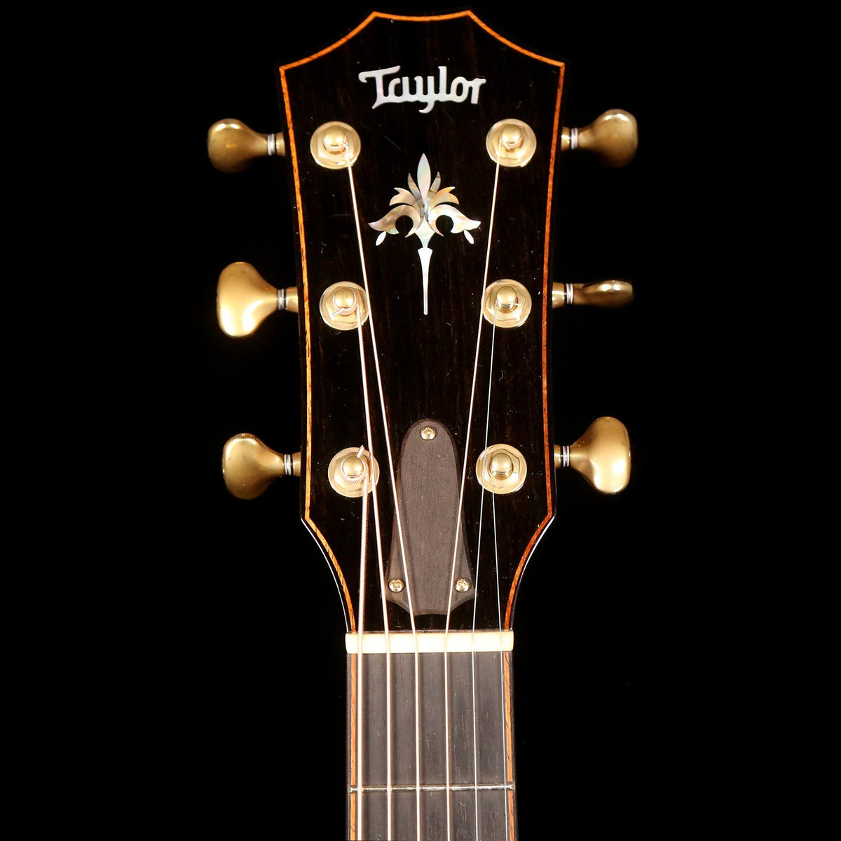 Taylor 914ce Grand Auditorium Fall LTD Cocobolo Shaded Edgeburst 2017 — 4
