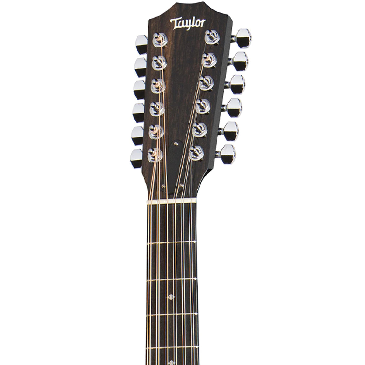 Taylor 250ce-BLK DLX Dreadnought 12-String Acoustic-Electric Black — 4