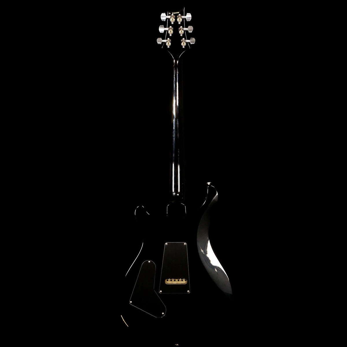 PRS Custom 24 Copperhead Smokewrap Burst 2016 — 3